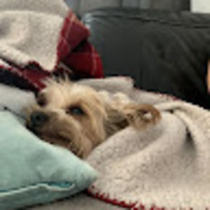 Meet your Posher, Felipe